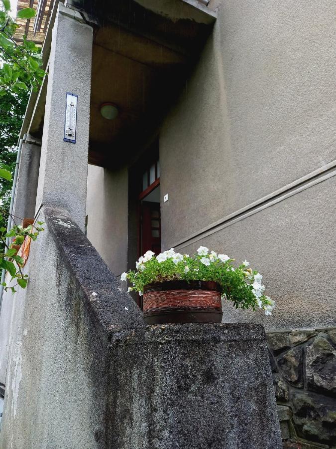 Vila Kotlarska Дечин Экстерьер фото